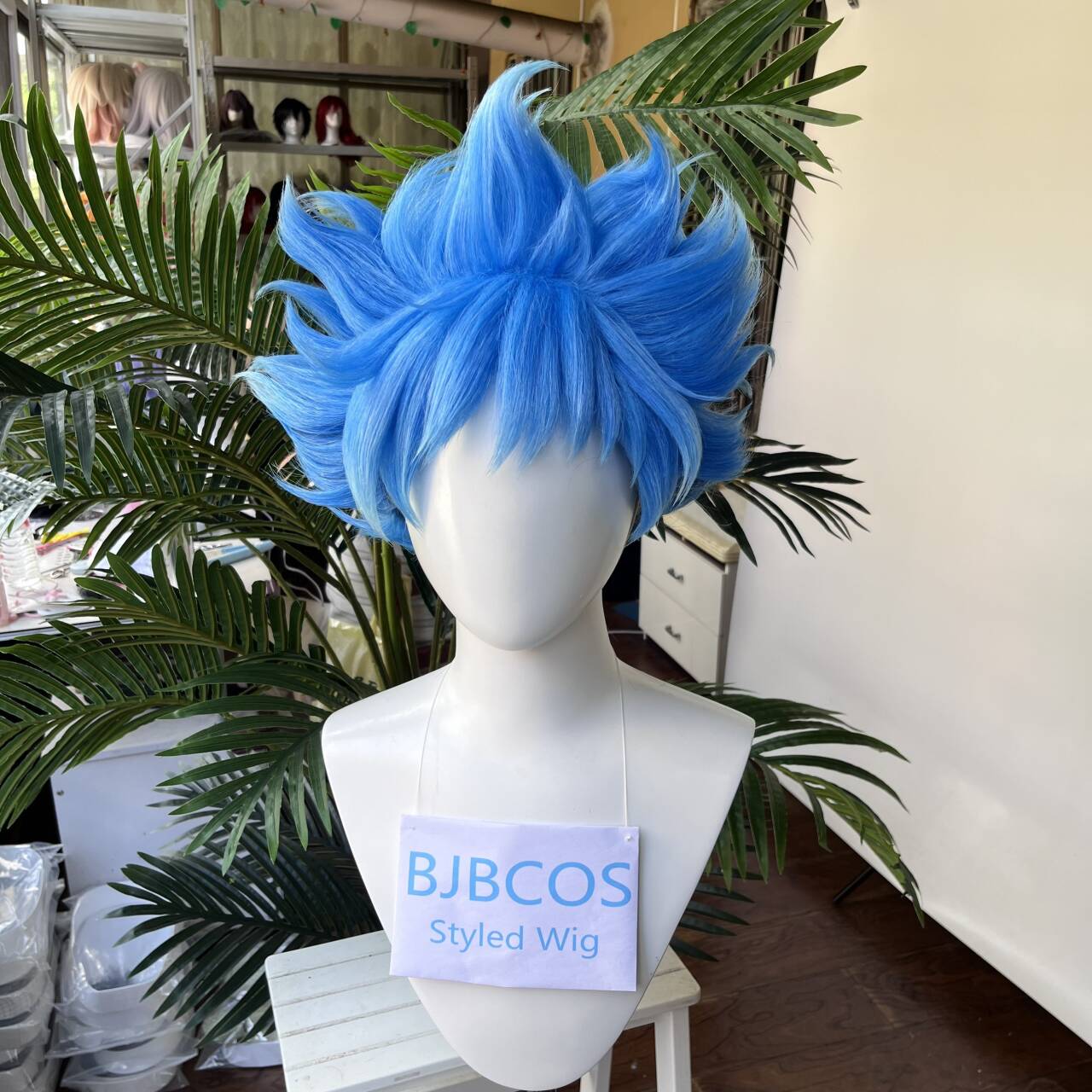 [Styled Wig]Ortho Cosplay Wig  - Mens Accessories Style 评论和价格